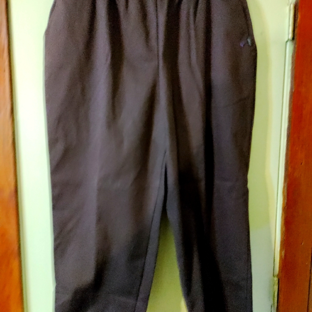 Chic Brown Pants 22W Petite